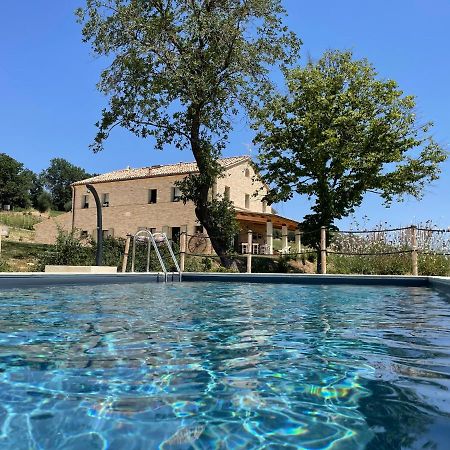 Casale Dei Cinque Colli Villa Ostra Luaran gambar
