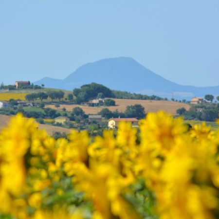 Casale Dei Cinque Colli Villa Ostra Luaran gambar