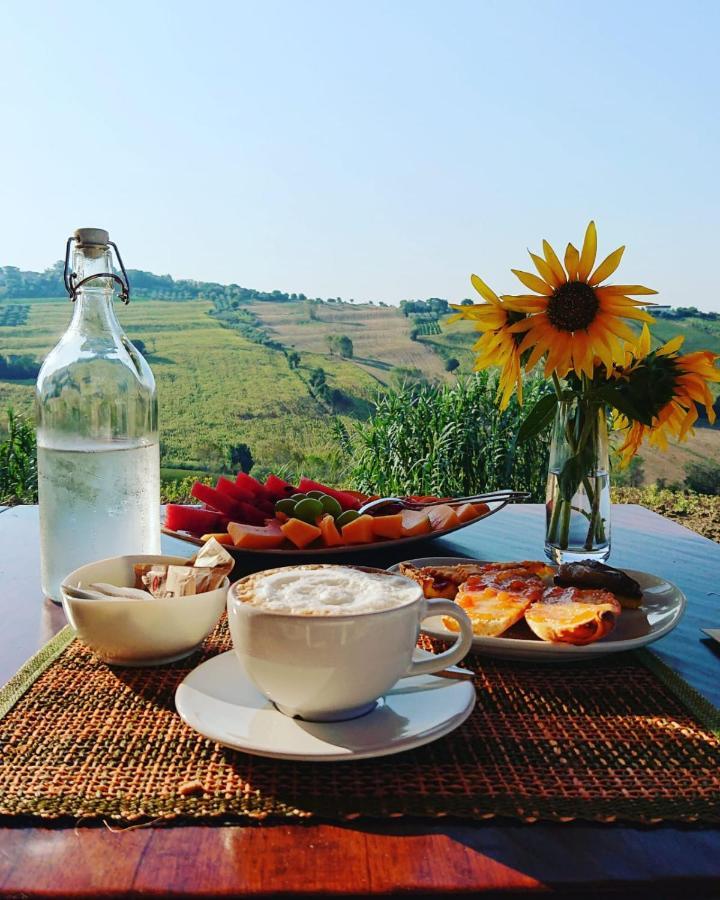 Casale Dei Cinque Colli Villa Ostra Luaran gambar
