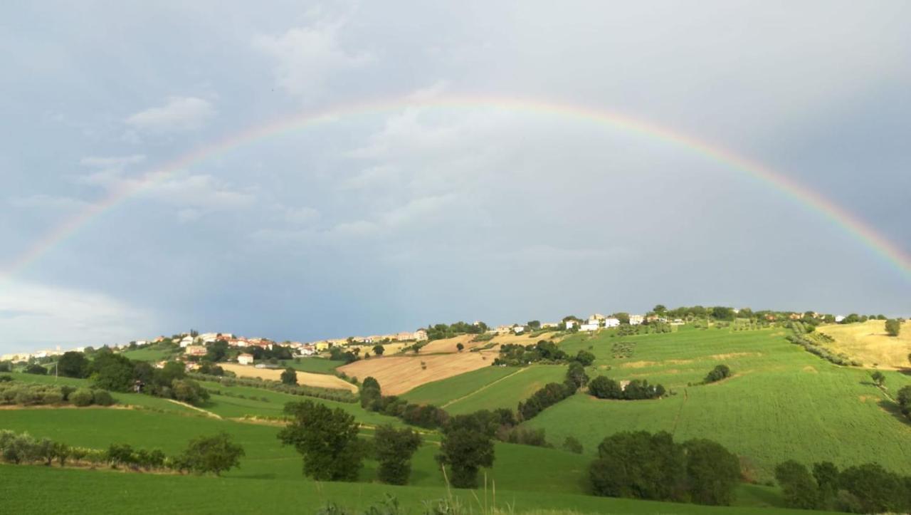Casale Dei Cinque Colli Villa Ostra Luaran gambar