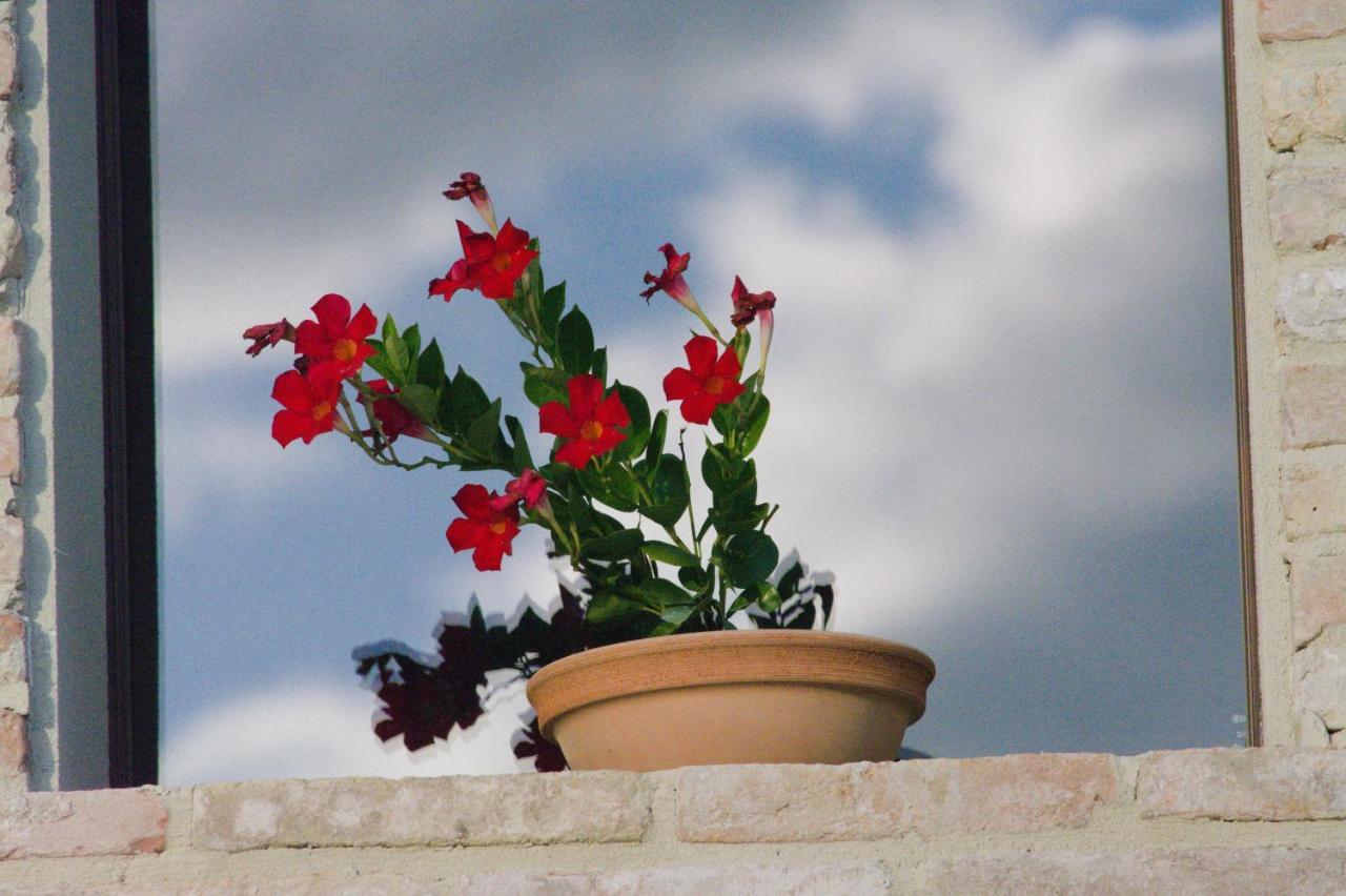 Casale Dei Cinque Colli Villa Ostra Luaran gambar