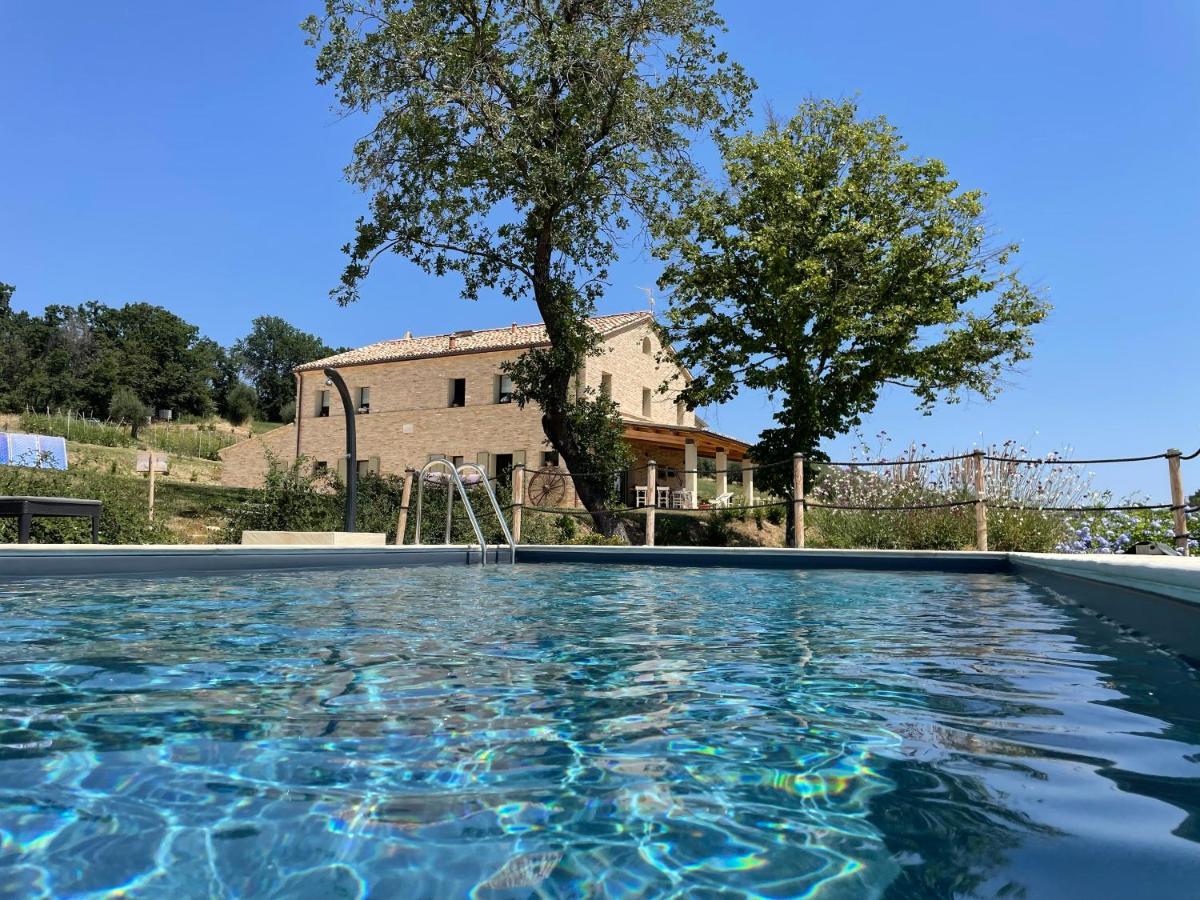 Casale Dei Cinque Colli Villa Ostra Luaran gambar